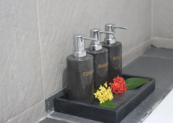 Hotel The Manja & Retreat Lovina 3*