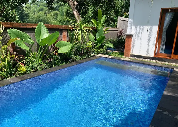 The Manja & Retreat Lovina Hotel 3*